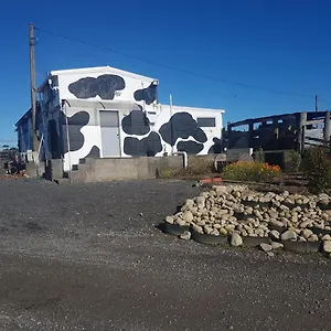 https://the-old-cow-shed.wellingtonnzhotels.com